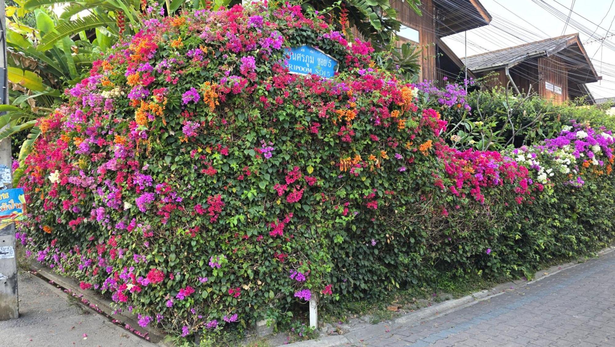 Siriwan Hostel Чиангмай Екстериор снимка