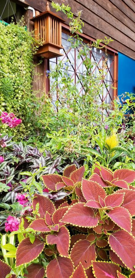 Siriwan Hostel Чиангмай Екстериор снимка